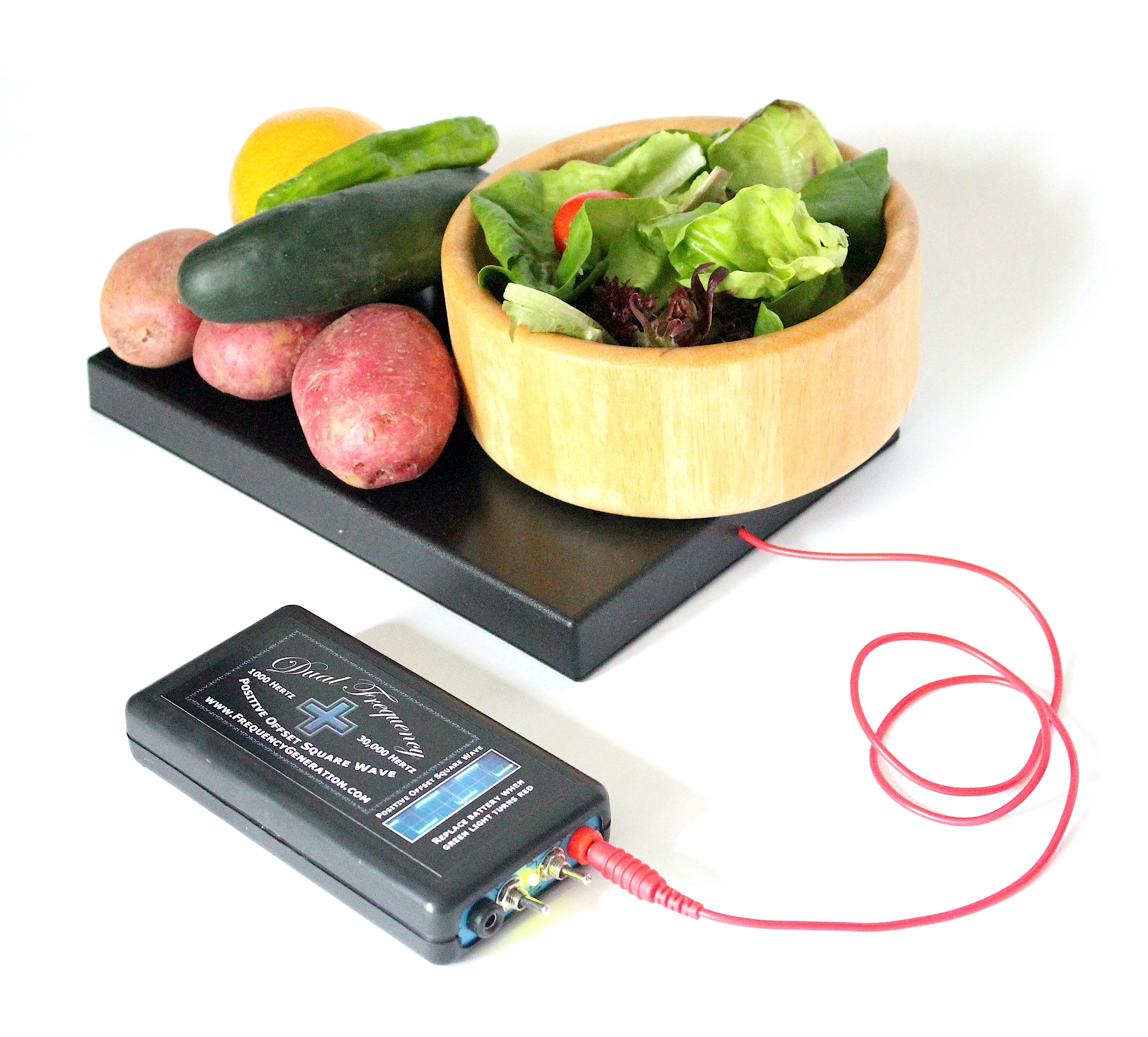 Food Zappicator Food Zappicator